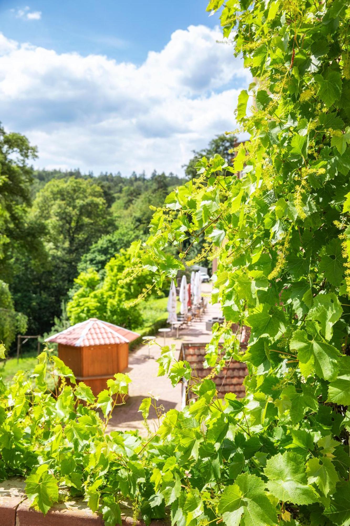 Achat Hotel Franziskushoehe Lohr Zewnętrze zdjęcie